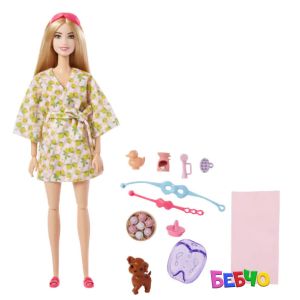 Barbie® Wellness Кукла с кученце - На почивка 