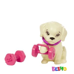 Barbie® Wellness Кукла с кученце - На почивка 