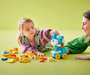 LEGO® DUPLO® Животни на колела „3 в 1“ 10448 