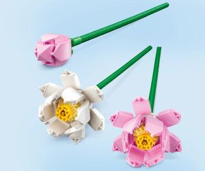 LEGO® Iconic Лотоси 40647 