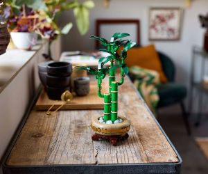 LEGO® Botanicals Бамбук за късмет 10344