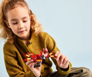 LEGO® Harry Potter Фоукс Фениксът на Дъмбълдор 76448 