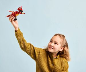LEGO® Harry Potter Фоукс Фениксът на Дъмбълдор 76448 