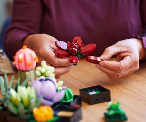 LEGO® Icons Сукуленти 10309 