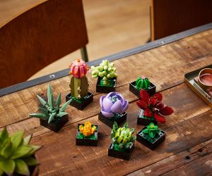 LEGO® Icons Сукуленти 10309 