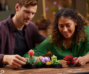 LEGO® Icons Сукуленти 10309 