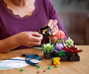 LEGO® Icons Сукуленти 10309 