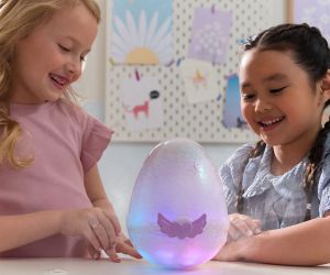 Hatchimals Комплект яйце изненада Pufficorn