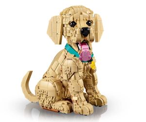 LEGO® Icons Кученце голдън ретривър 11384 