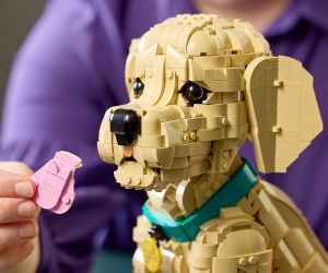 LEGO® Icons Кученце голдън ретривър 11384 