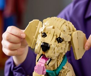 LEGO® Icons Кученце голдън ретривър 11384 
