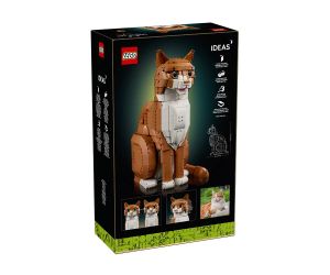 LEGO® Icons Оранжево Коте 21376 