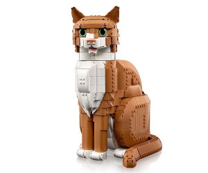 LEGO® Icons Оранжево Коте 21376 