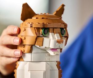 LEGO® Icons Оранжево Коте 21376 