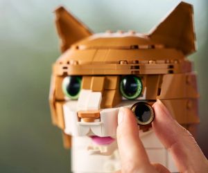 LEGO® Icons Оранжево Коте 21376 