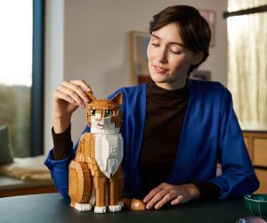 LEGO® Icons Оранжево Коте 21376 