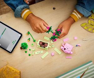 LEGO® Botanicals Търкалящи се растения 11506 