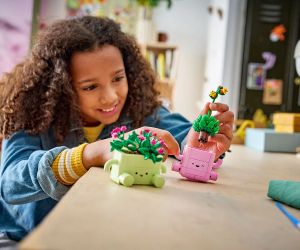 LEGO® Botanicals Търкалящи се растения 11506 