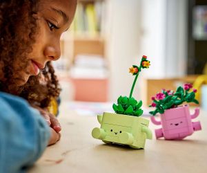 LEGO® Botanicals Търкалящи се растения 11506 