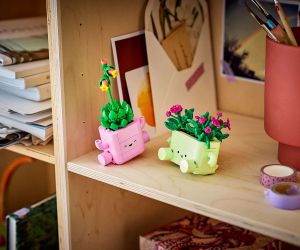 LEGO® Botanicals Търкалящи се растения 11506 