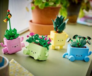 LEGO® Botanicals Търкалящи се растения 11506 