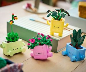 LEGO® Botanicals Търкалящи се растения 11506 