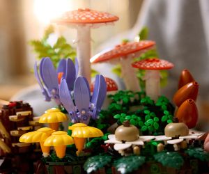 LEGO® Botanicals Горски гъби 11505