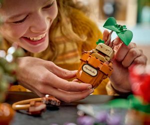LEGO® Harry Potter Растения за часа по билкология в Хогуортс 76474 