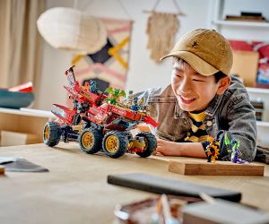 LEGO® NINJAGO Земният дар 71869