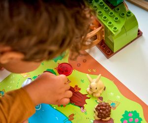 LEGO® DUPLO® Town Чудна гора с диви животни 10480