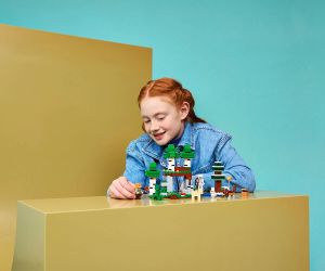 LEGO® Minecraft Първото нощно приключение 21593 