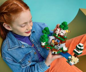LEGO® Minecraft Първото нощно приключение 21593 