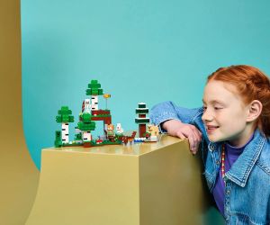 LEGO® Minecraft Първото нощно приключение 21593 