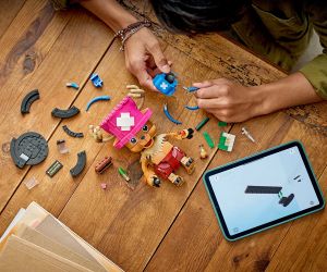 LEGO® One Piece Тони Тони Чопър 75643 