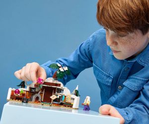 LEGO® One Piece Скривалището на д-р Хирилук 75641 