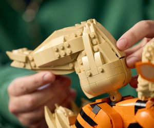 LEGO® Pokemon Арканайн 72160 